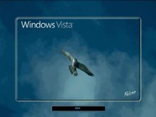 Windows Vista Falcon