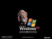 Windows Lion XP