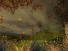 Autumn Winds
