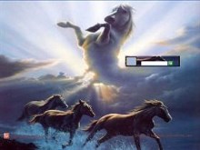 Wild Spirit