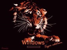 Tiger Boot