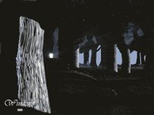 Dark Forest - Secret Door To Other Worlds