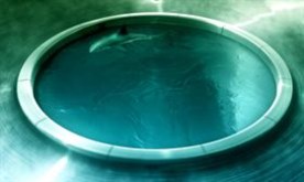 Shark Pit