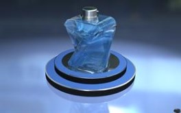 The Perfume