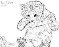 Suni Art Wallpaper