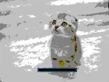 Paint Cat