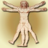 Vitruvian