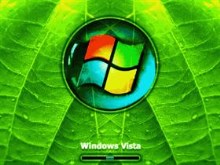 Vista Symmetric Leafs 12