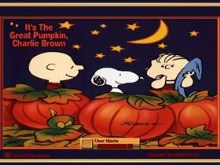 Peanuts Pumpkin Patch