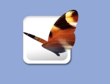 InDesign CS