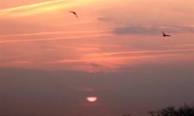 Daybreak