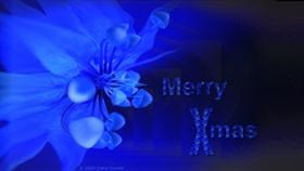 xmas