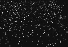 Snow FLakes Edition 1