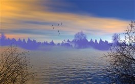 The Lake