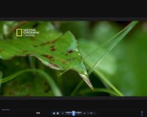 leavewaterdrop