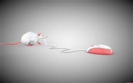 Mouse Vs Mouse