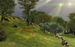 Tree of Conscience