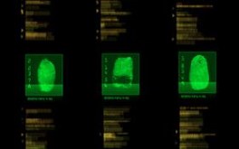 Fingerprint Scans