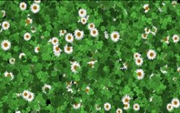 Animated Spring Desktop