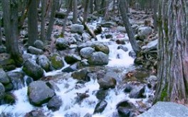 Another Cascade