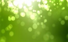 Green Flux