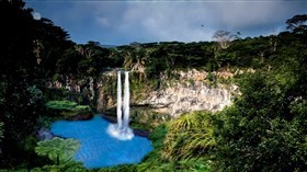 Forgotten_Rainforest_2