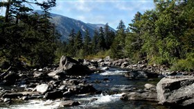 Rocky_Mountain_Creek