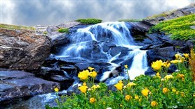 Humming_Bird_Creek
