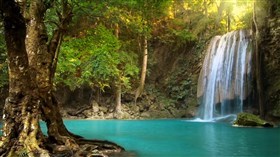 Aqua_Forest_Falls