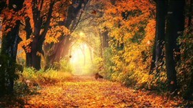 Fall_Is In The_Air