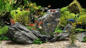 Virtual_Crab_Grab_Aquarium