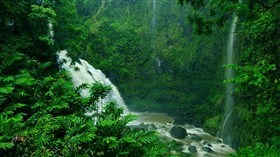 Green_Jungle_Triple_Waterfalls