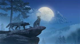 Wolf Moon