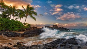 Hawaiian Rocky Beach