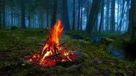 Nice Forest Campfire ws