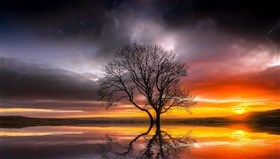 Gorgeous_Sunset