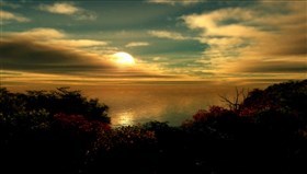 Fall_is_in_The_air