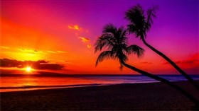 Gorgeous Rainbow Sunset Ocean