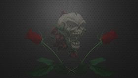 Skulls and Roses Black Bootskin Pro