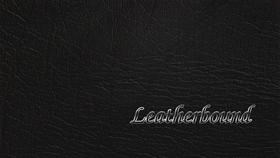 Leatherbound