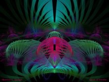 Birds of Pardise
