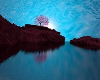 Dreamscape