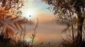 Foggy Lake