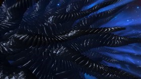 Obsidian Jungle