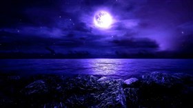 Dark Night
