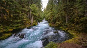 4K McKenzie River