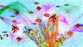 Rainbow Aquarium