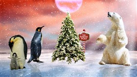 Arctic Christmas
