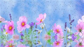 Spring Showers