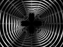 Black Web
